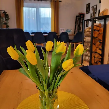 Siedlisko فيلة Bieszkowice